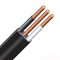 El flamear anti ininflamable del cable eléctrico del alambre plano del grueso 0.025m m